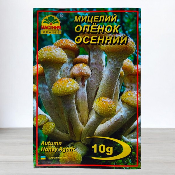 Міцелій гриба Опеньок Осінній, 10г